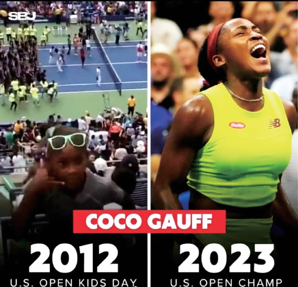 可撼动性 可撼动性