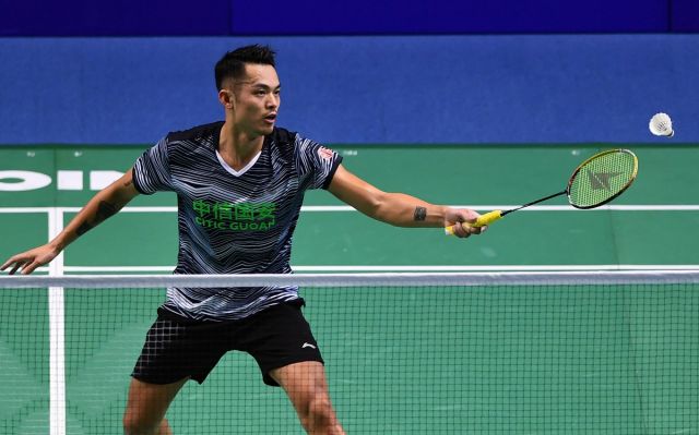 世界泳坛的 世界泳坛的