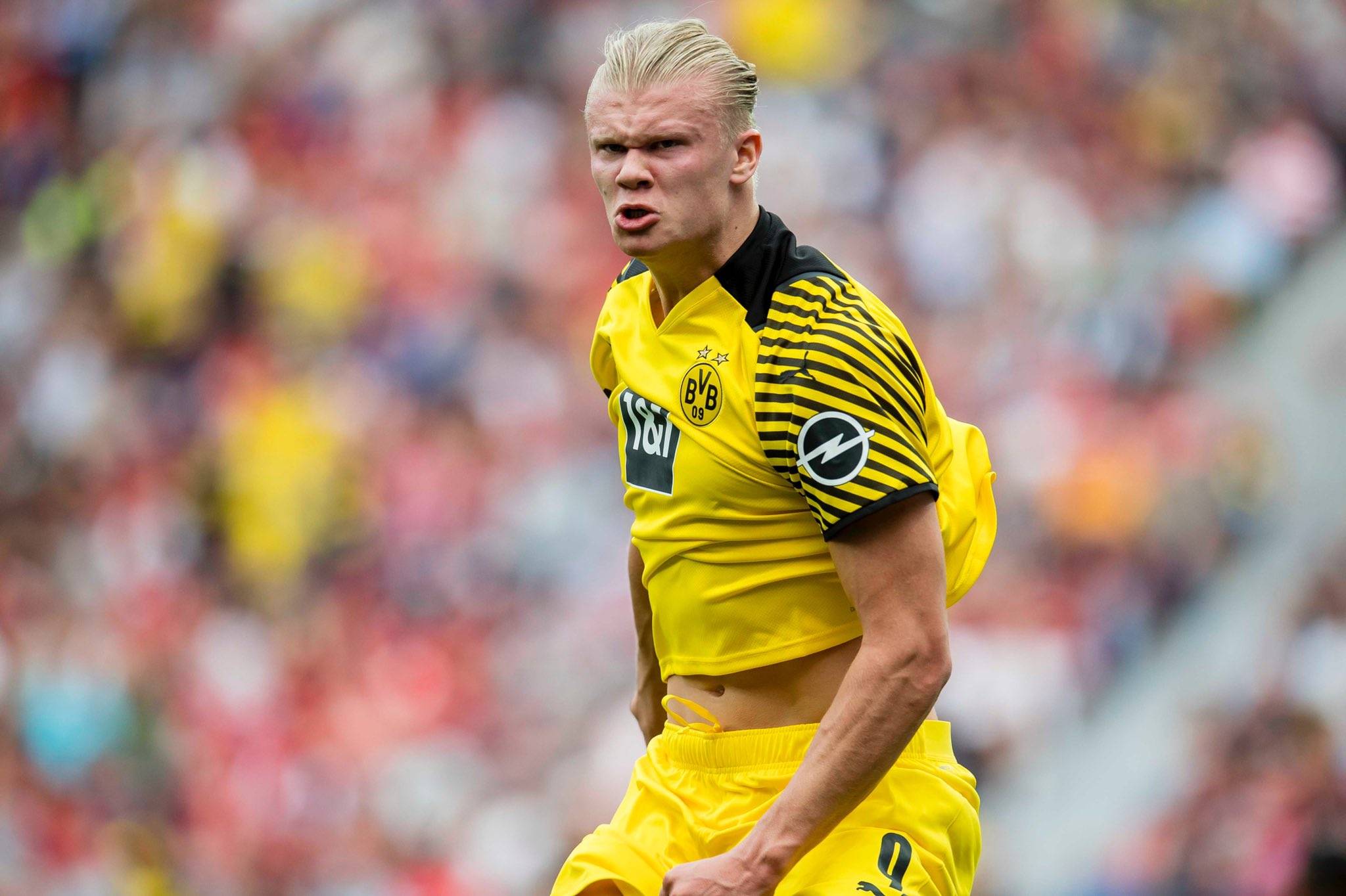 汉默斯被送 汉默斯被送